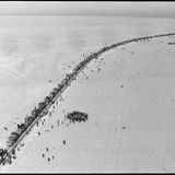 Kolonne von Autos auf einer Straße in einem Wüstengebiet
