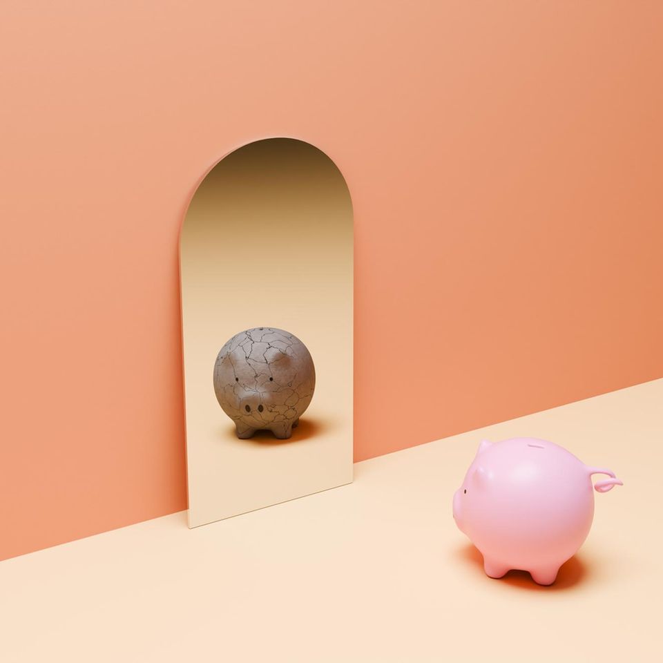 Sparschwein betrachtet sich im Spiegel