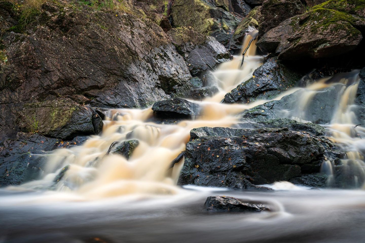 Danska Fall in Schweden