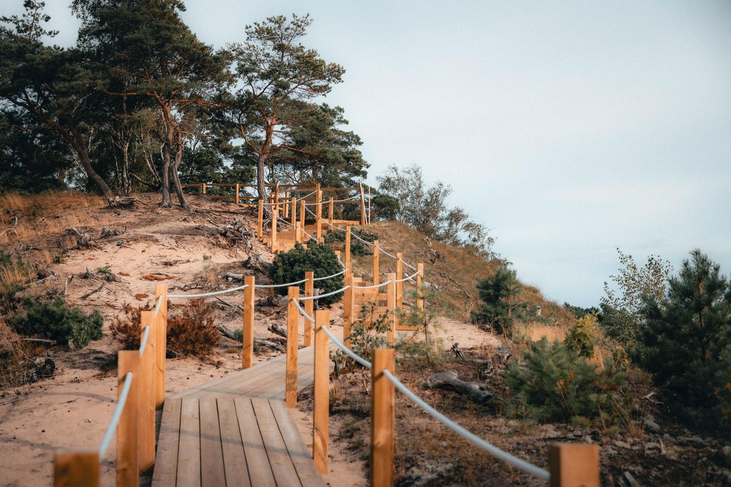 Panoramablick von Schwedens höchster Sanddüne Lynga Sanddyn