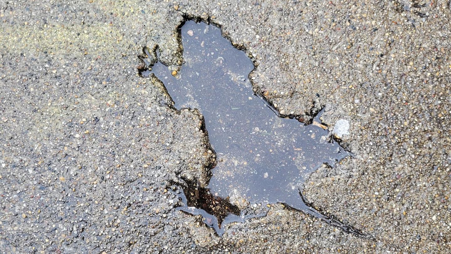 Der markante Abdruck in frischem Beton wurde lange einer Ratte zugeschrieben  CC BY-SA 4.0