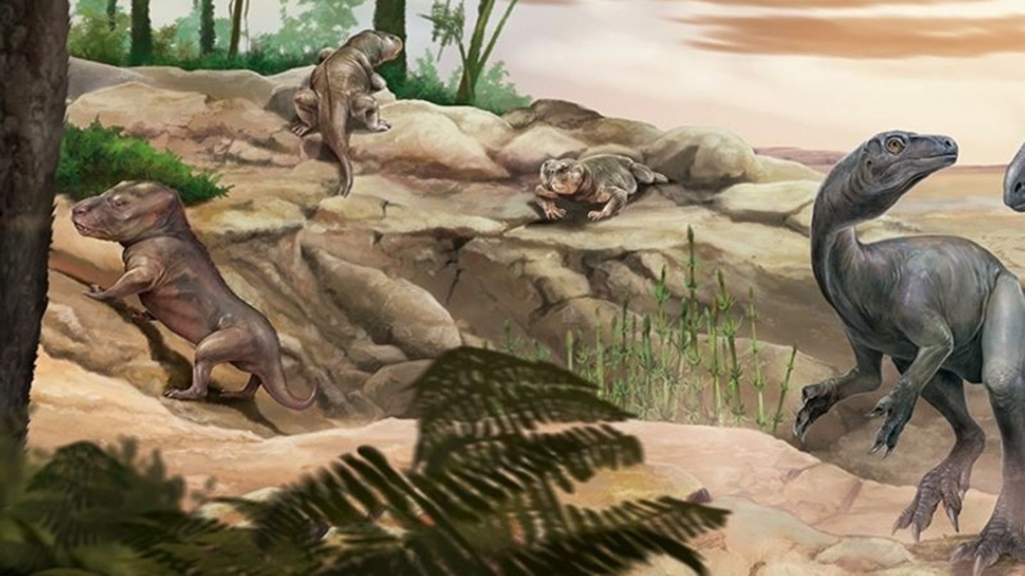 Künstlerische Darstellung des Dinosauriers Huayracursor jaguensis Foto: Jorge Blanco/CONICET Argentina/dpa