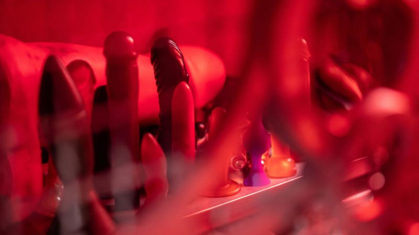 Vibratoren, Dildos, Analplugs: 19 Sextoys hat sich die Stiftung Warentest für ihre gleichnamige Zeitschrift genau angeschaut. Fo