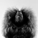 In diesem Porträt verbergen sich vermeintlich unterschiedliche Wesen. Einen Hund, aber auch einen Bären oder Schmetterling meint die Jury zu erkennen – je nach Blickwinkel. Für ihre besondere Aufnahme erhielt die polnische Fotografin Julia Tulcinscaia in der Kategorie "Studio" deshalb eine lobende Erwähnung.