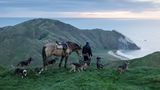 Im ersten Licht des Morgens Auf Pakarae B5 beginnt das Leben im Morgengrauen. Mitarbeiter der mehr als 5600 Hekar umfassenden Farm treiben dann bereits das Vieh zusammen, während über Neuseelands Ostküste das Licht erwacht – als erstem Ort auf dem Globus. Für die Menschen, die hier leben und arbeiten, ist es mehr als Boden: Es ist Heimat. Und ohne ihre Hütehunde wäre das raue Weideland kaum zu bewirtschaften.