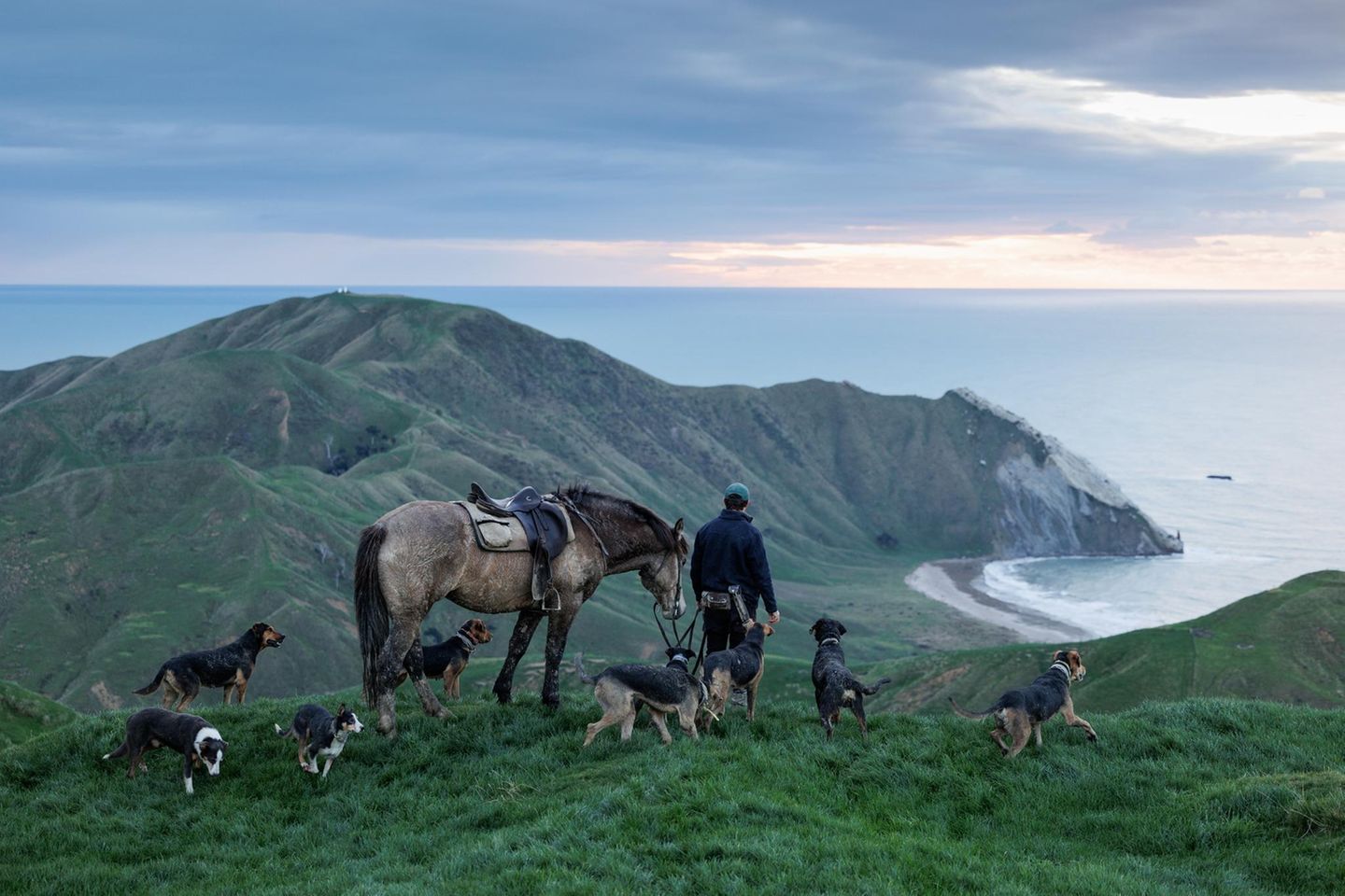 Auf Pakarae B5 beginnt das Leben im Morgengrauen. Mitarbeiter der mehr als 5600 Hekar umfassenden Farm treiben dann bereits das Vieh zusammen, während über Neuseelands Ostküste das Licht erwacht – als erstem Ort auf dem Globus. Für die Menschen, die hier leben und arbeiten, ist es mehr als Boden: Es ist Heimat. Und ohne ihre Hütehunde wäre das raue Weideland kaum zu bewirtschaften.