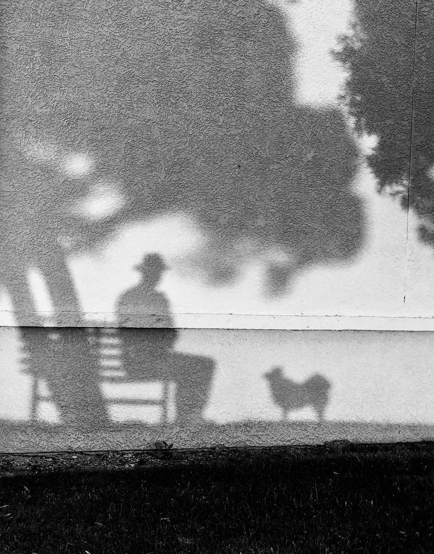 Mein kleiner Schatten Hunde sind wie Schatten – sie begleiten uns auf Schritt und Tritt. Diesen Gedanken verbildlicht Fotograf Tony Hertz in seinem stimmungsvollen Porträt von sich und seinem Hund Lolly. Für das kunstvolle Schatten-Selfie wurde er mit dem dritten Platz in der Kategorie "Hunde & Menschen" ausgezeichnet.