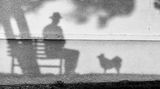 Hunde sind wie Schatten – sie begleiten uns auf Schritt und Tritt. Diesen Gedanken verbildlicht Fotograf Tony Hertz in seinem stimmungsvollen Porträt von sich und seinem Hund Lolly. Für das kunstvolle Schatten-Selfie wurde er mit dem dritten Platz in der Kategorie "Hunde & Menschen" ausgezeichnet.