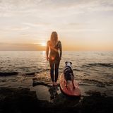 Vertrauen und Abenteuerlust verbinden dieses Duo: Das stimmungsvolle Bild von Hund, Frau und Surfboard in der sanften Brandung wurde in der Kategorie "Hunde & Menschen" besonders hervorgehoben. Eingereicht hat es die Österreicherin Petra Nestelbacher.