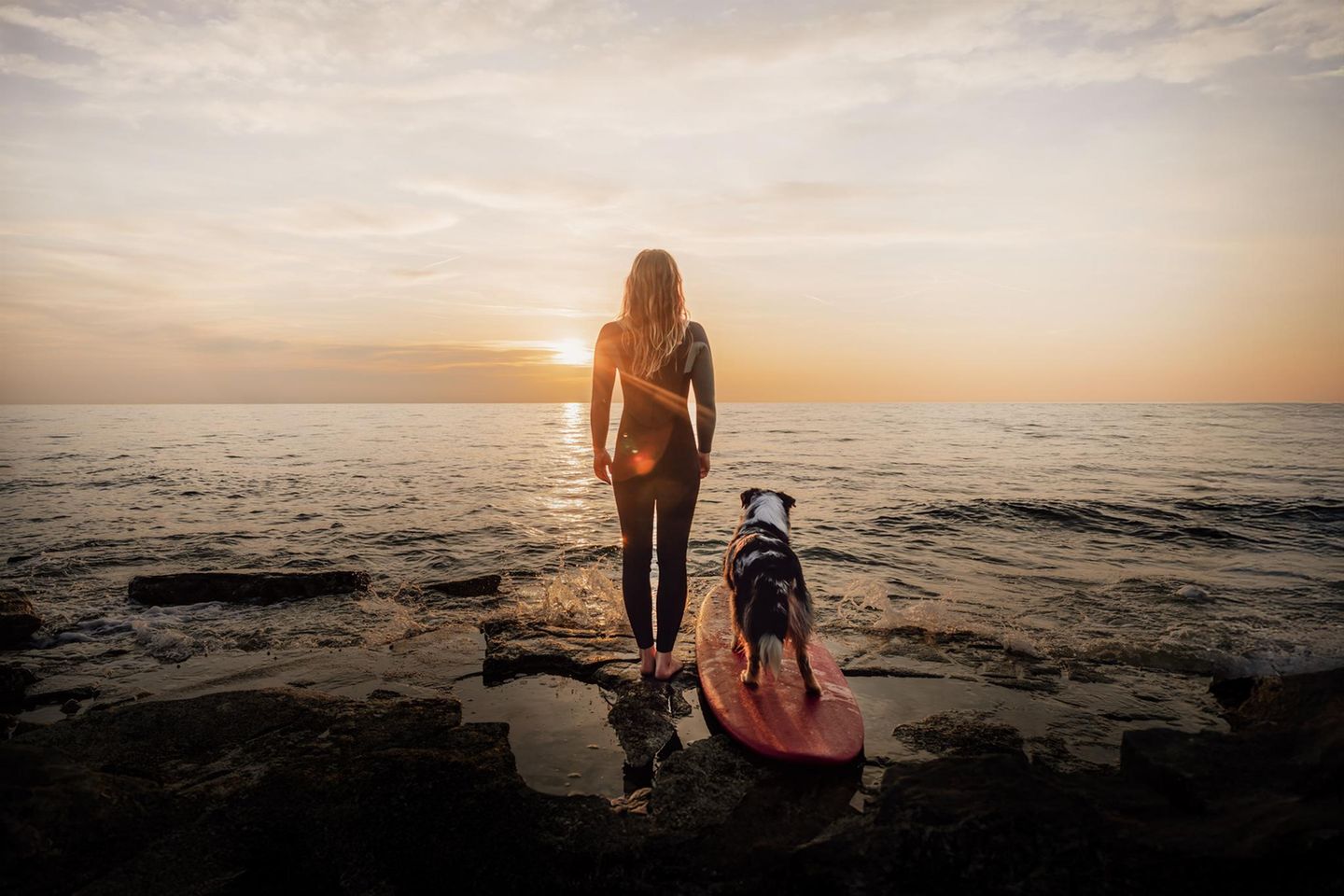 Gemeinsam dem Horizont entgegen Vertrauen und Abenteuerlust verbinden dieses Duo: Das stimmungsvolle Bild von Hund, Frau und Surfboard in der sanften Brandung wurde in der Kategorie "Hunde & Menschen" besonders hervorgehoben. Eingereicht hat es die Österreicherin Petra Nestelbacher.