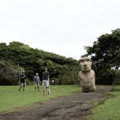 Osterinsel: Tonnenschwere Steinstatuen könnten "gelaufen" sein
