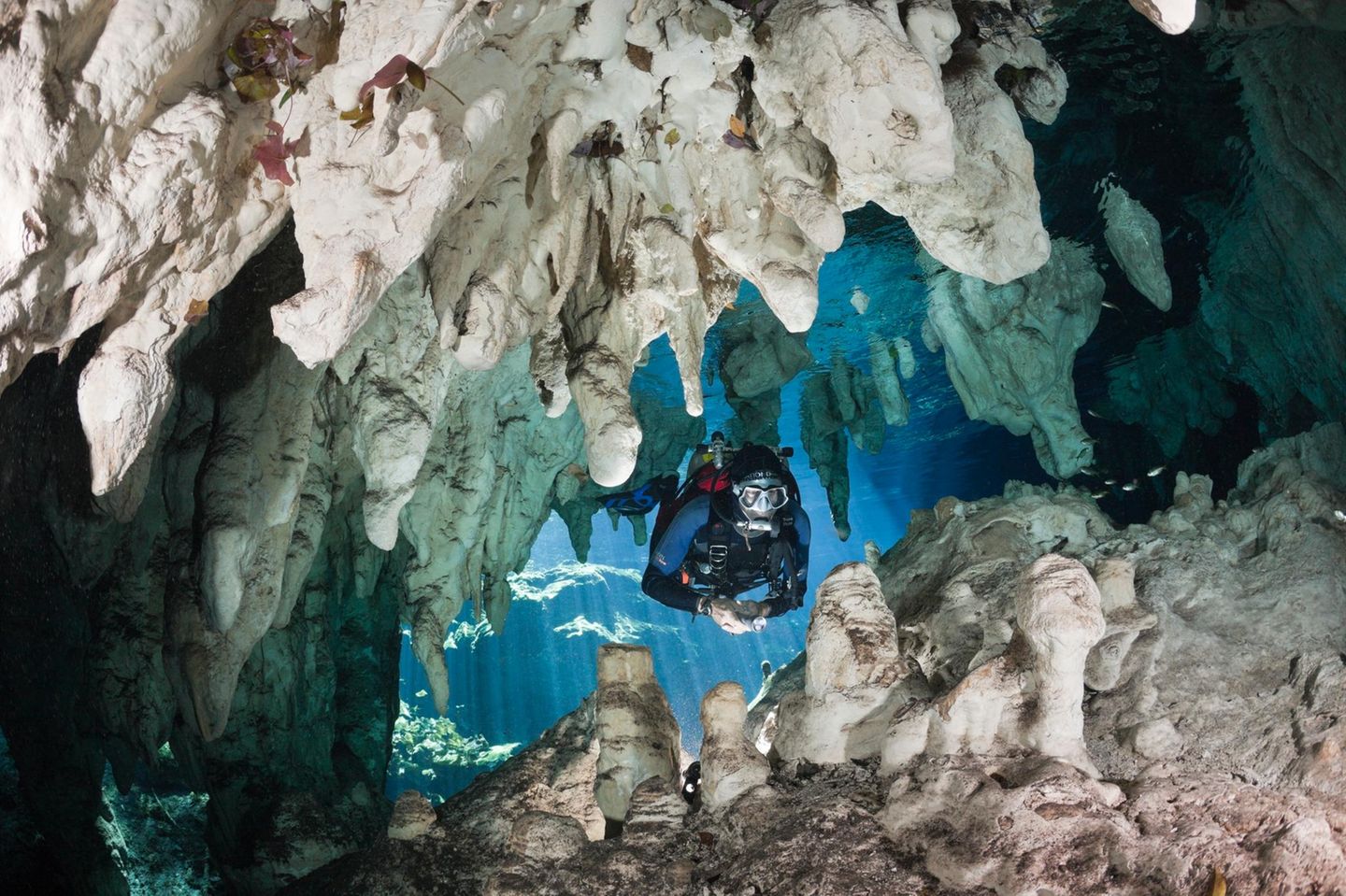 Eine tauchende Person taucht durch einen Durchgang in der Gran Cenote