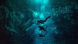 Tauchende Personen im Licht der Öffnung der Pit Cenote