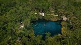 Der Blick von oben auf die Cristalino Cenote. Ein Wasserbecken inmitten von Bäumen