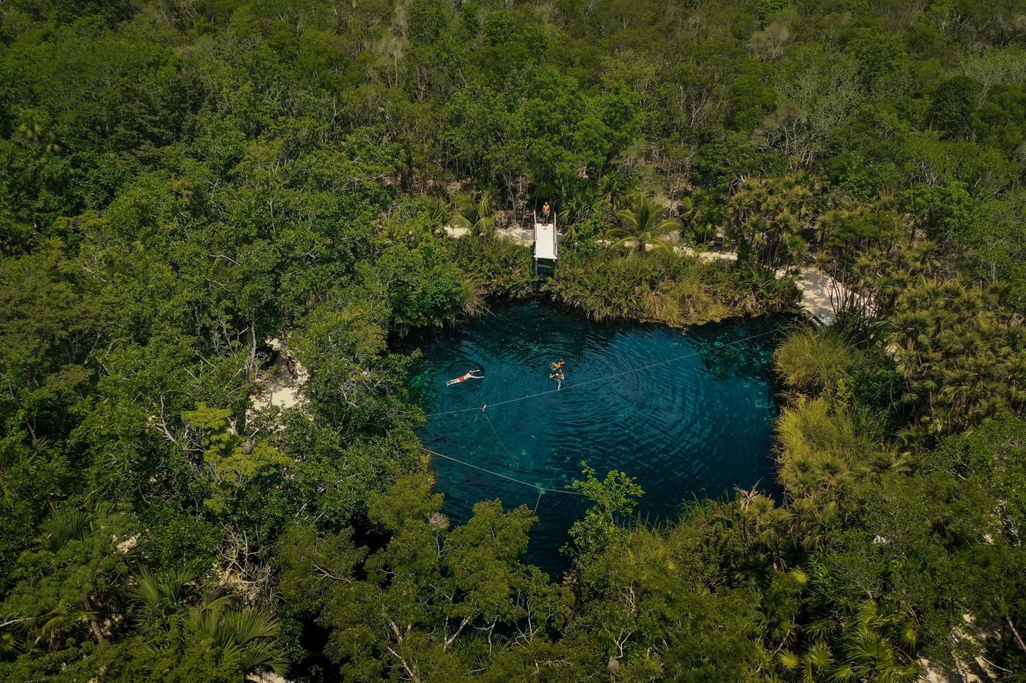 Der Blick von oben auf die Cristalino Cenote. Ein Wasserbecken inmitten von Bäumen