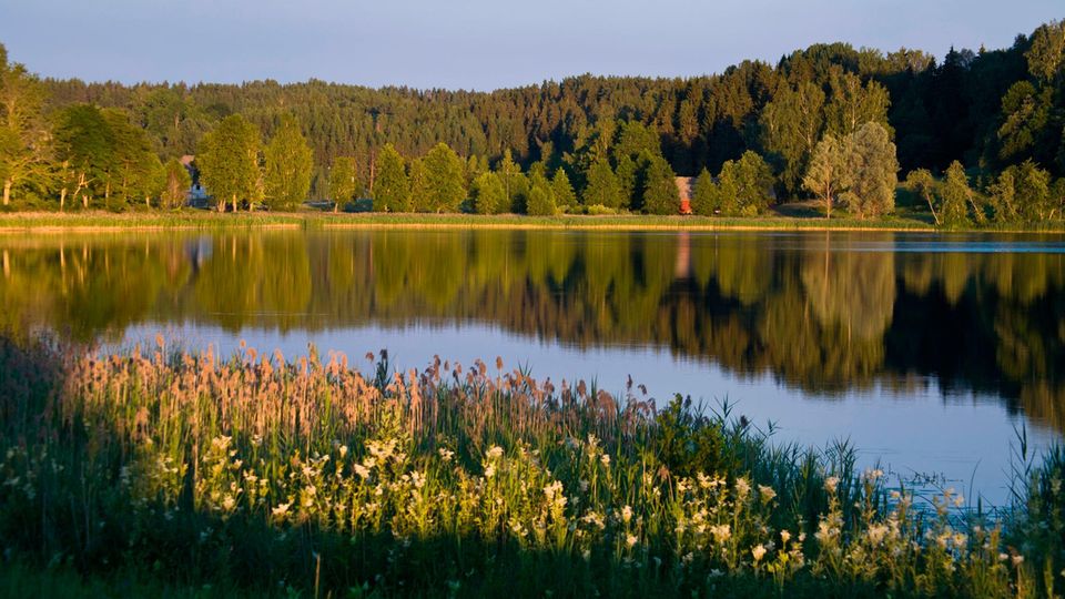Im Südosten Estlands, in der Gemeinde Rõuge wird die Saunakultur bis heute praktiziert