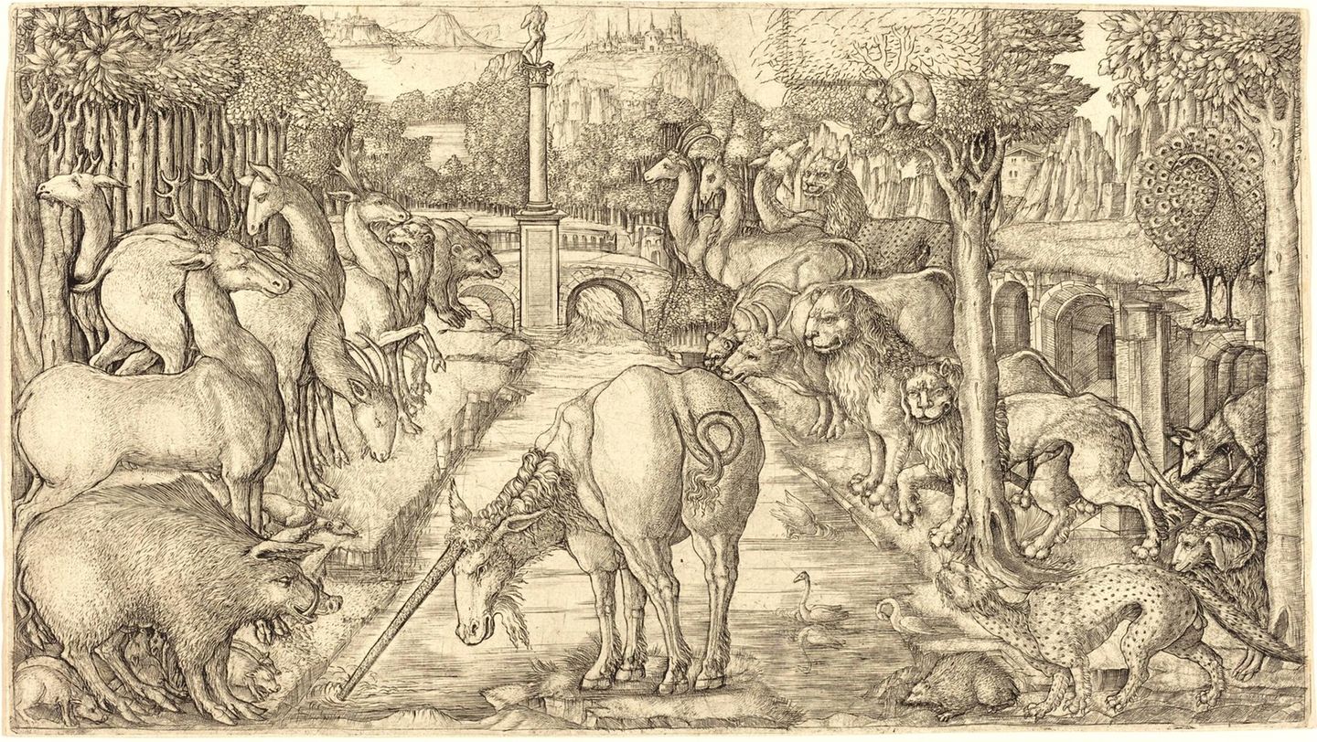 Symbol für Reinheit und Heilung   Das Einhorn reinigt das Wasser mit seinem Horn