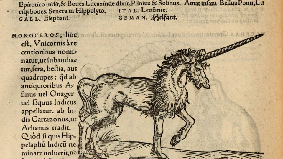 Eine Seite aus Conrad Gessners Buch "Historia animalum", die ein Einhorn zeigen soll