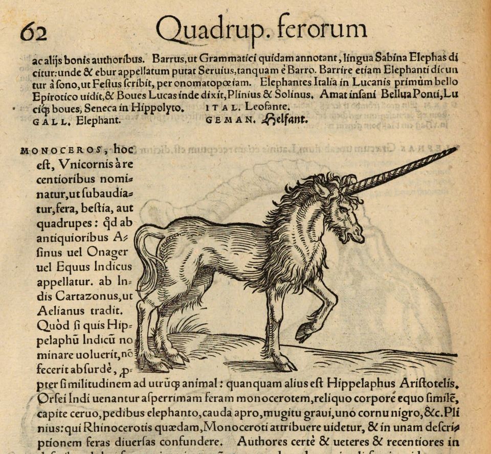 Eine Seite aus Conrad Gessners Buch "Historia animalum", die ein Einhorn zeigen soll