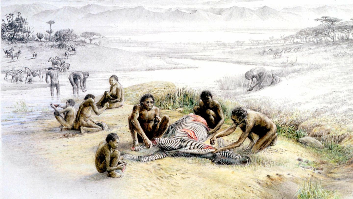 Ern-hrung-Untersch-tzte-Nahrungsquelle-Wie-Aas-die-menschliche-Evolution-vorantrieb