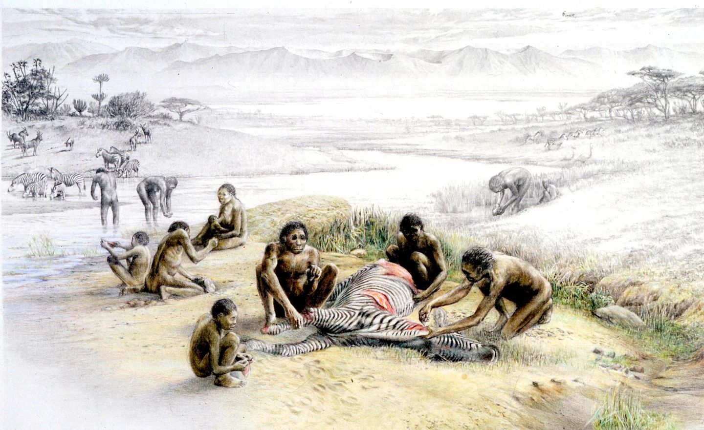 Eine Gruppe Homo Habilis mit totem Zebra