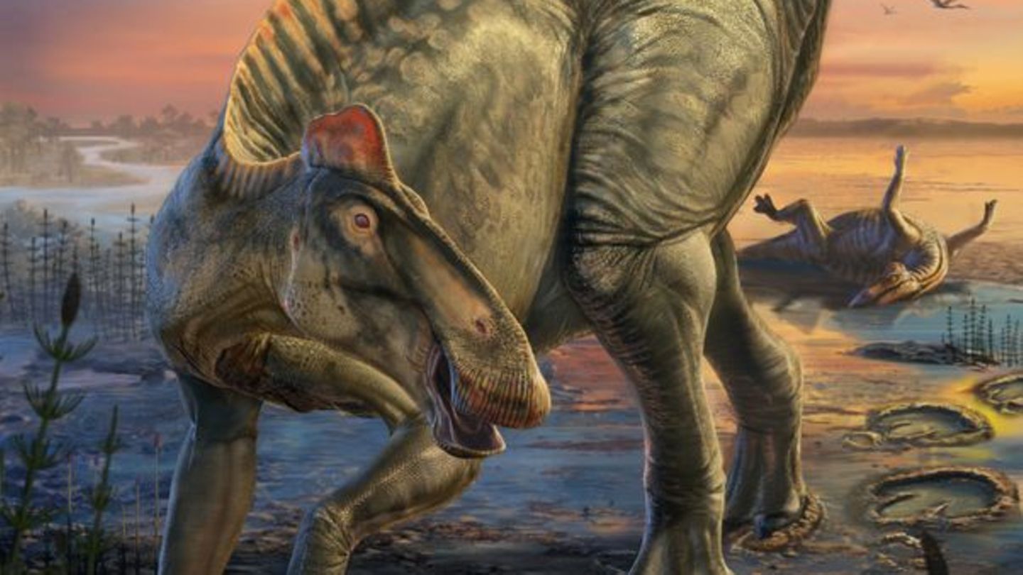 Sauriermumien-Fund-Erstmals-Dinosaurier-mit-Hufen-in-den-USA-entdeckt