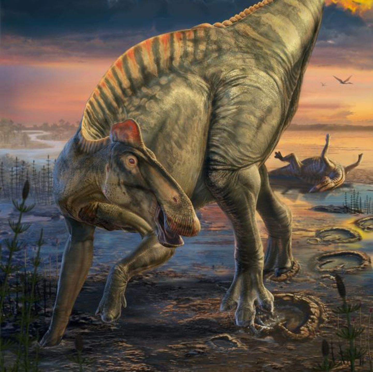 Entenschnabel-Dinosaurier