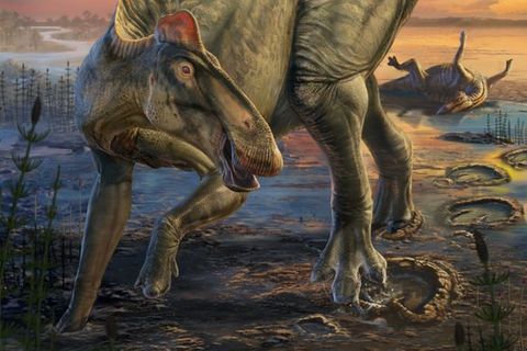 Entenschnabel-Dinosaurier Entenschnabel-Dinosaurier