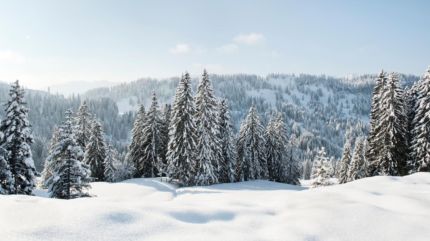 Einordnung-Was-ist-dran-am-Jahrhundertwinter-Der-Deutschen-Wetterdienst-gibt-Antworten