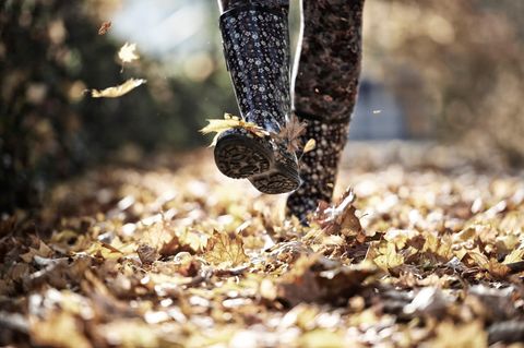 Gesundheit: Ein Vorbild an den Kindern nehmen: Der Herbst ist zwar nicht die gemütlichste Jahreszeit zum Spazieren, aber es gibt viel zu entdecken Ein Vorbild an den Kindern nehmen: Der Herbst ist zwar nicht die gemütlichste Jahreszeit zum Spazieren, aber es gibt viel zu entdecken