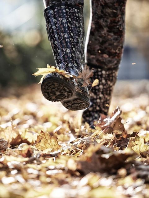 Ein Vorbild an den Kindern nehmen: Der Herbst ist zwar nicht die gemütlichste Jahreszeit zum Spazieren, aber es gibt viel zu entdecken
