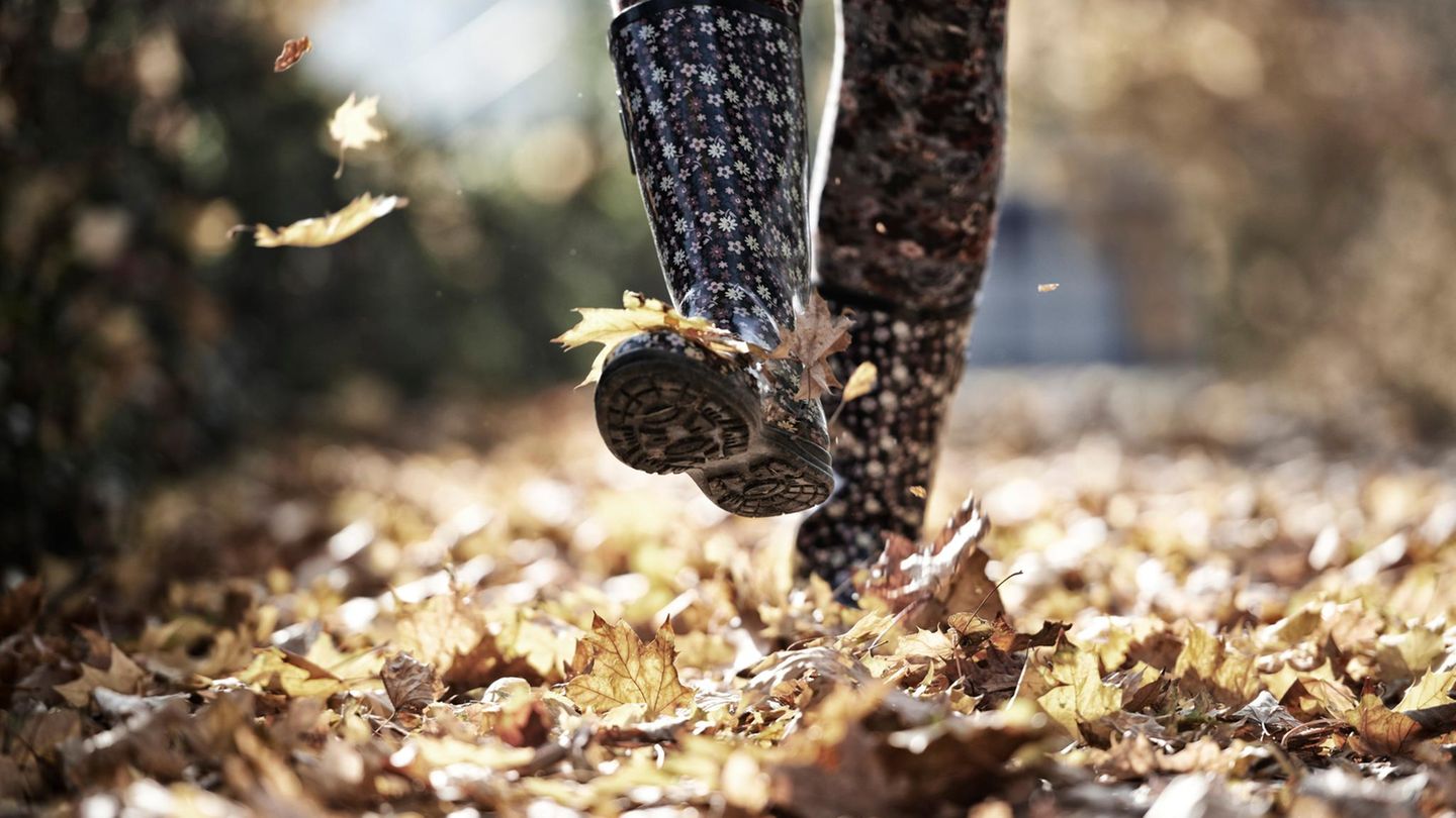 Gesundheit: Ein Vorbild an den Kindern nehmen: Der Herbst ist zwar nicht die gemütlichste Jahreszeit zum Spazieren, aber es gibt viel zu entdecken Ein Vorbild an den Kindern nehmen: Der Herbst ist zwar nicht die gemütlichste Jahreszeit zum Spazieren, aber es gibt viel zu entdecken