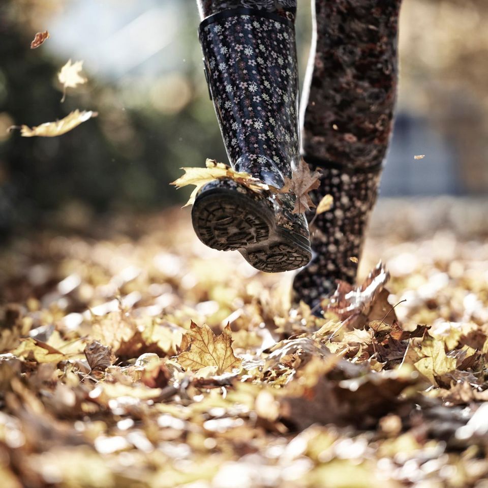 Ein Vorbild an den Kindern nehmen: Der Herbst ist zwar nicht die gemütlichste Jahreszeit zum Spazieren, aber es gibt viel zu entdecken