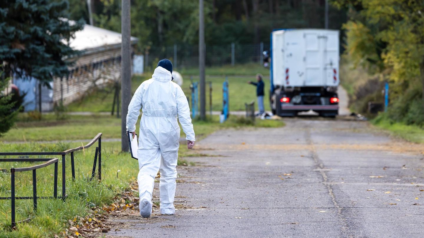 Meinung: Containerweise tote Tiere: Allein in zwei Geflügelbetrieben im Landkreis Märkisch-Oderland wurden wegen der Vogelgrippe rund 85.000 Tiere gekeult Containerweise tote Tiere: Allein in zwei Geflügelbetrieben im Landkreis Märkisch-Oderland wurden wegen der Vogelgrippe rund 85.000 Tiere gekeult