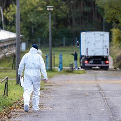 Containerweise tote Tiere: Allein in zwei Geflügelbetrieben im Landkreis Märkisch-Oderland wurden wegen der Vogelgrippe rund 85.000 Tiere gekeult