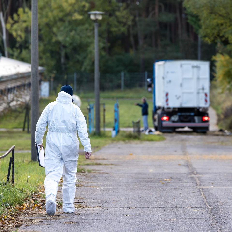 Containerweise tote Tiere: Allein in zwei Geflügelbetrieben im Landkreis Märkisch-Oderland wurden wegen der Vogelgrippe rund 85.000 Tiere gekeult