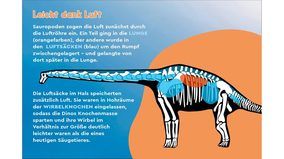 Dinosaurier: Gigantisch groß