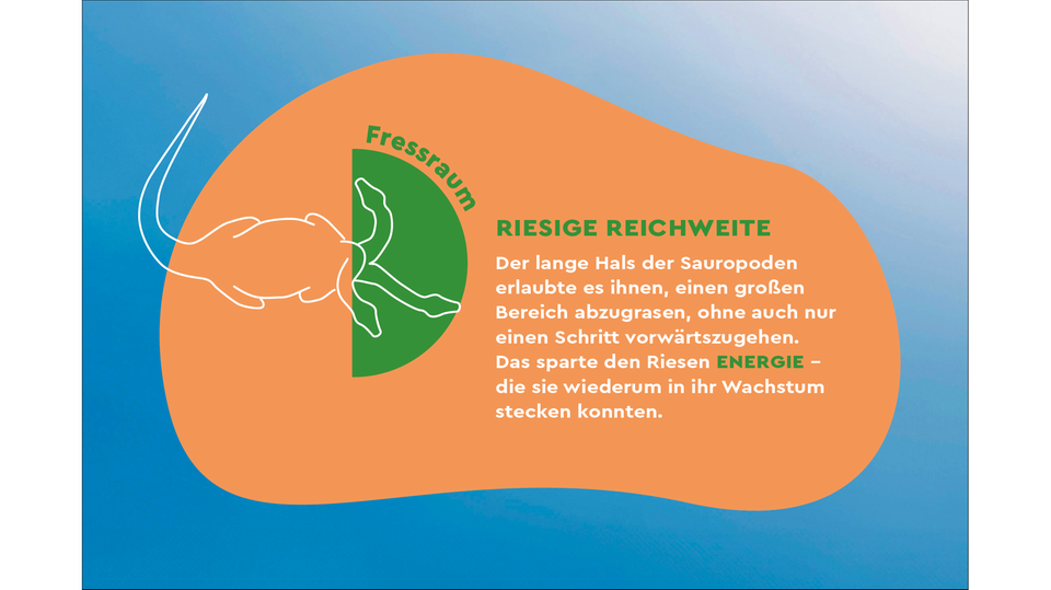 Dinosaurier: Gigantisch groß