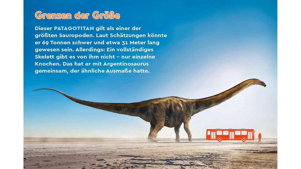 Dinosaurier: Gigantisch groß