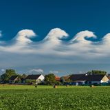 Wellenförmige Wolken ziehen über eine Ortschaft mit Feld