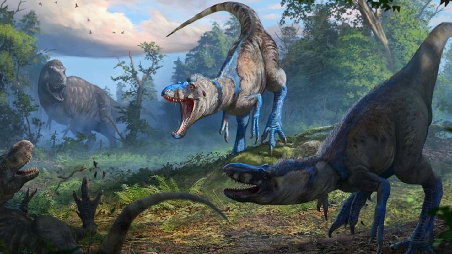 Nanotyrannus war wohl ein schlankerer, schnellerer und wendigerer Jäger als der T-Rex. Foto: Anthony Hutchings/Nature/dpa Nanotyrannus war wohl ein schlankerer, schnellerer und wendigerer Jäger als der T-Rex. Foto: Anthony Hutchings/Nature/dpa