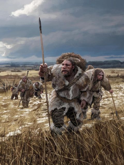 Illustration: Neandertaler bei der Jagd