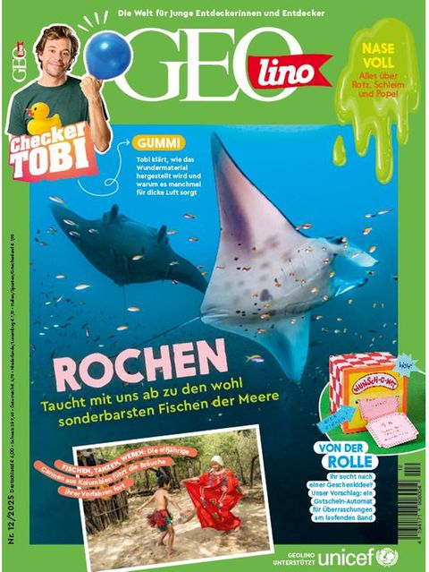 Cover GEOlino 12/2025: Rochen