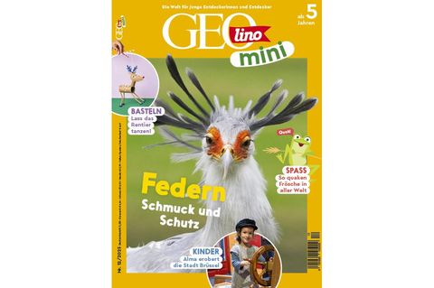 GEOlino Mini 12/2025: Federn