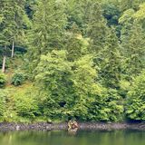 Ein Boot liegt am Ufer des Stausees, dahinter der grüne, steile Wald
