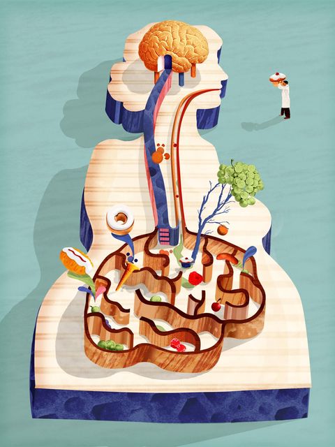 Über die Darm-Hirn-Achse kommunizieren kleine Organismen in unserem Darm mit unserem Gehirn