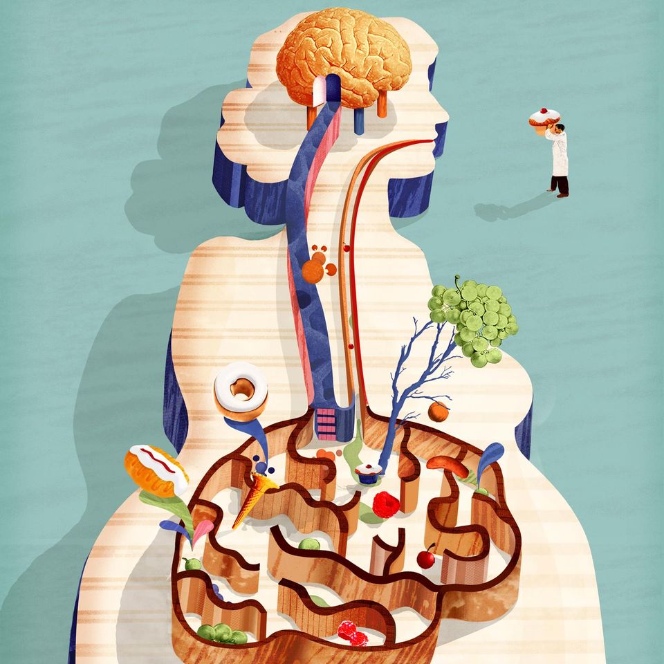 Über die Darm-Hirn-Achse kommunizieren kleine Organismen in unserem Darm mit unserem Gehirn