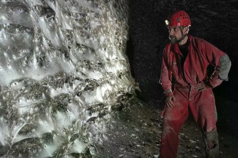 Das riesige Netz in der Schwefelhöhle besteht aus unzähligen einzelnen Trichternetzen     © Marek Audy, Urak et al. 2025, Subterranean Biology, CC BY 4.0