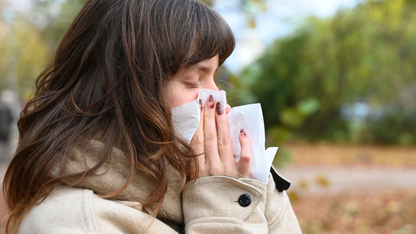 Corona-und-Erk-ltungen-4-9-Millionen-Atemwegserkrankungen-Niedriges-Niveau-