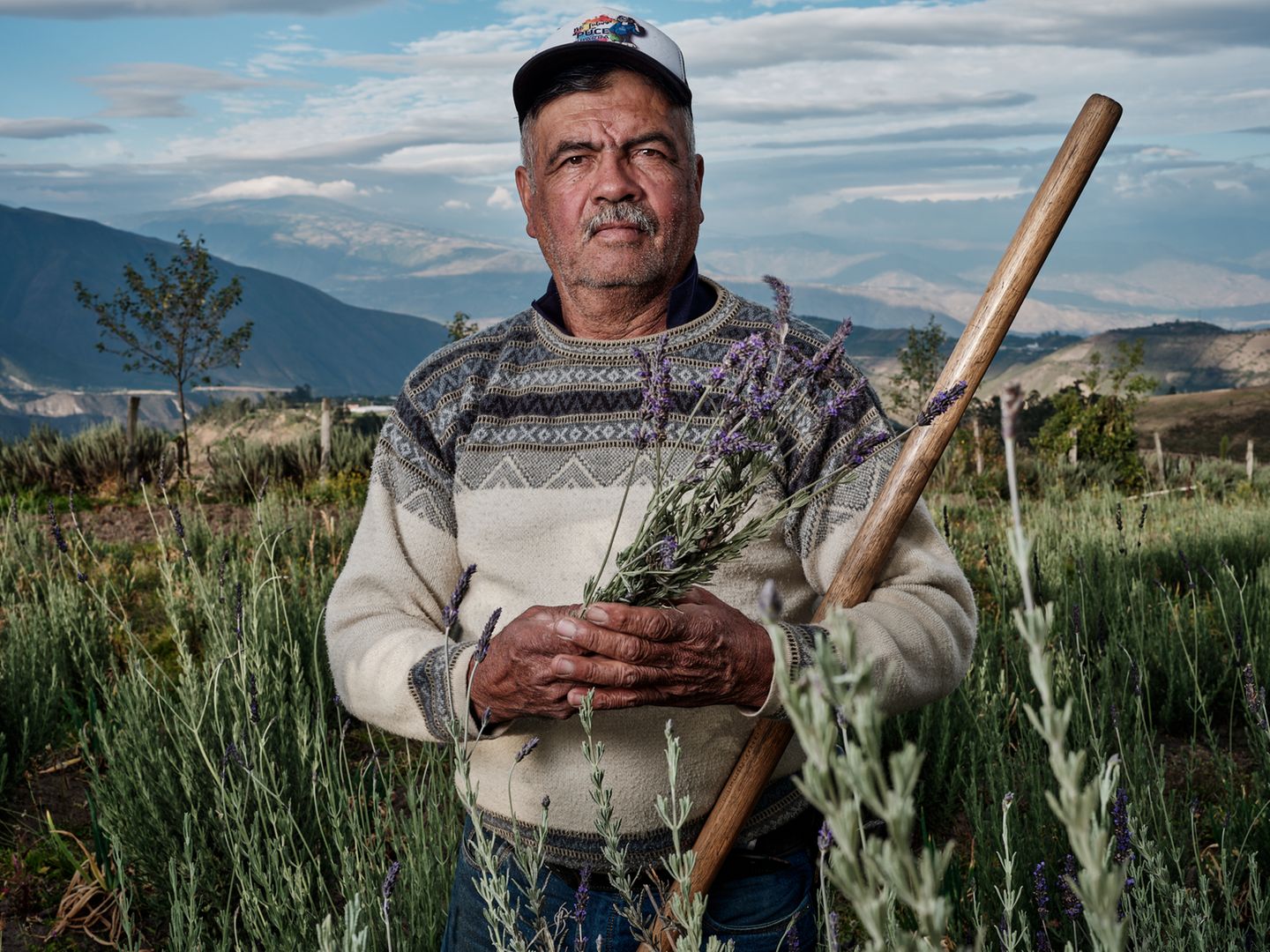 Ein Mann steht in einem Feld